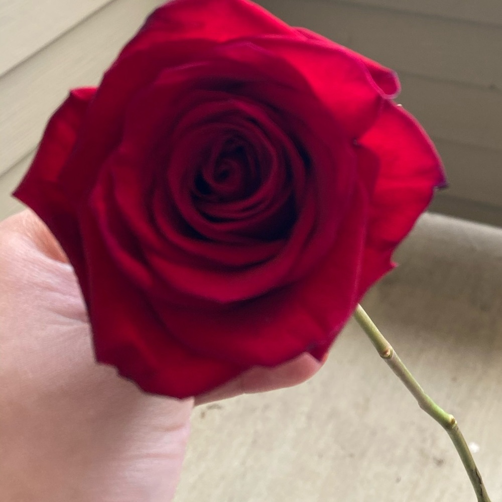 Meet your Posher, Jojo